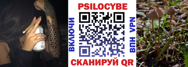 Галлюциногенные грибы мухоморы  Купить где  Усть-Илимск 